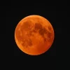 Fenomena Blood Moon Hiasi Langit Indonesia pada 7–8 September 2025