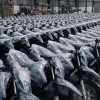 Ribuan Motor Listrik MBG Disegel, DPR Dukung Hibah untuk Guru Honorer